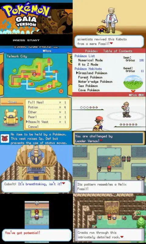 Pokémon Gaia screenshot 5